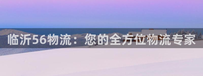 28圈麻将：临沂56物流：您的全方位