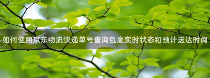 28圈官网版下载：如何使用京东物流快