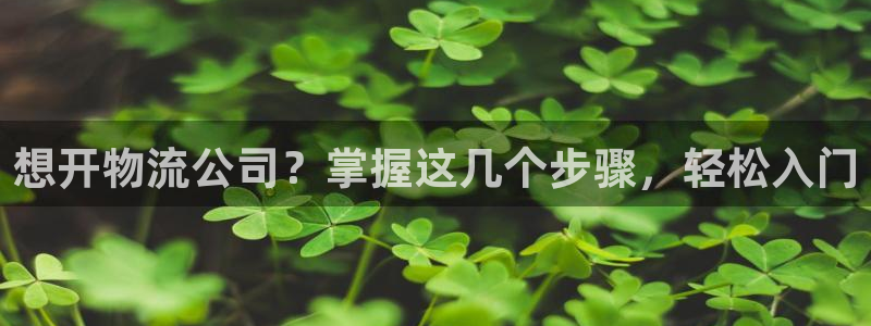 28圈免费充钱：想开物流公司？掌握这