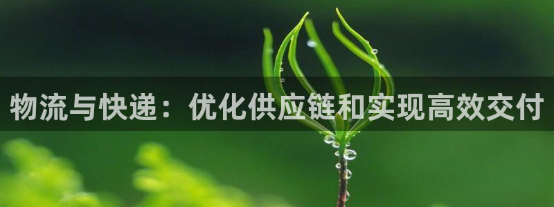 加拿大28圈数字规则：物流与快递：优