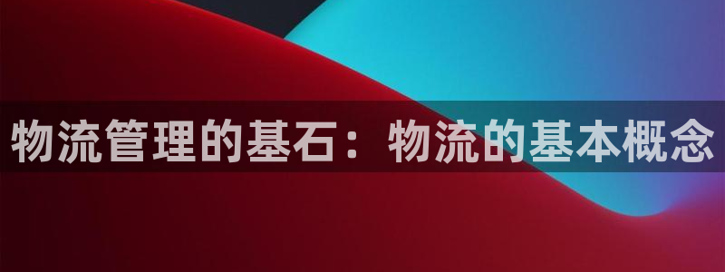 28圈游戏官网版：物流管理的基石：物